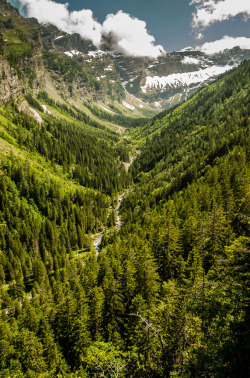 travelingcolors:  Val de Nant | Switzerland (by MaxatneP)