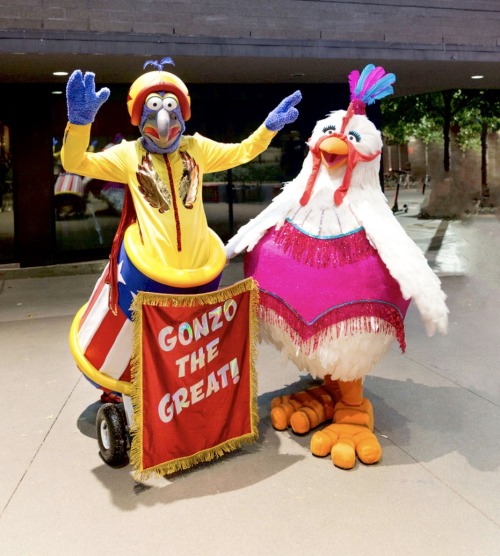 blondebrainpower:Gonzo the Great and Camilla the Chicken Costumes