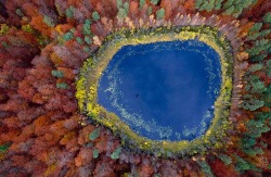 Bird’s eye view (flying over a lake in Poland in autumn)