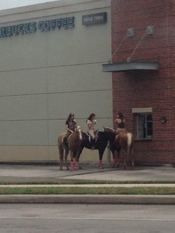 jonopoly:  rubee:  generic horse girl meetup  the saddle club goes to starbucks
