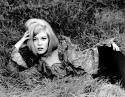  Faye Dunaway, 1967, during the filming of Bonnie and Clyde 