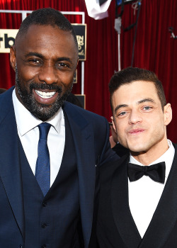 ramimaleks-daily:   Idris Elba and Rami Malek attend The 22nd Annual Screen Actors Guild Awards at The Shrine Auditorium on January 30, 2016 in Los Angeles, California