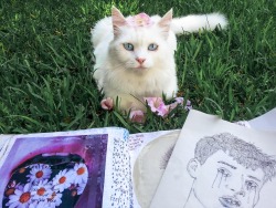 coltre:  she come in my garden everyday and sit in front of me while I work on my sketchbook. she doesn’t want food, she just sit there looking at me. today I covered her in flower and we were both happy.