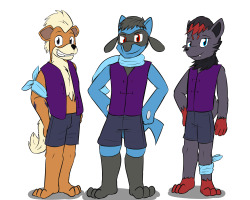 Another Pokemon Combat Team, this time from the Unova region.  Feldoge the Growlith, Rio the Riolu, and Loki the Zoura.  Stream request.