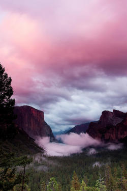 nature-planet:  Pink Tunnel View 