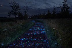  The first innovative bicycle path in the Netherlands will be paved with light stones that will charge during the day and emit light during the evening. The path will run by the home that Vincent van Gogh lived in from 1883-5. 