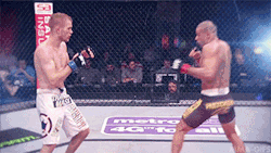 mma-gifs:  UFC on Fuel TV 7: Renan Barao vs. Michael McDonald