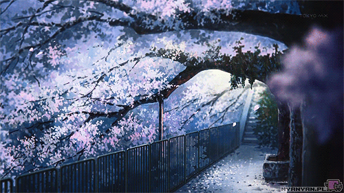 [ÉVENT] Sakura Matsuri ─ Sujet Global  Tumblr_n8t7yiOXFy1twippyo5_500