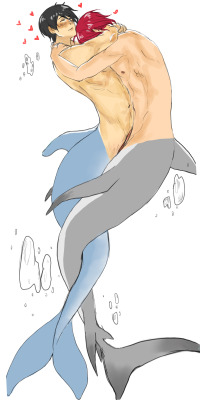tomakehimfree:  WELP ANON HERE YA GO. I’m not even gonna pretend i understand dolphin and shark anatomy so they have humanish genitalia going on.  If you like rinharu mermen you mUST FOLLOW ask-mermen-rinharu CAUSE THEYRE GREAT AND I GOT A LOT OF INSPIRAT