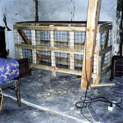 enucleator:  Some of the photos taken in Armin Meiwes' house, where he killed and ate Bernd Brandes.