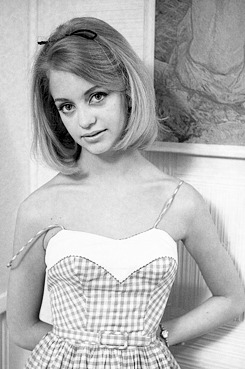 mabellonghetti:  Goldie Hawn photographed by Joseph Klipple, 1964 
