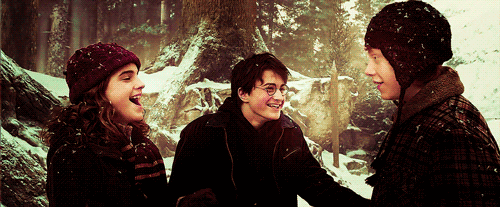Harry Potter (Potterhead)