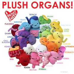 omotpees:  torpiss:  iheartguts: From the top of your brain to the bottom of your rectum, we’ve got all your body parts in snuggly, colorful forms.  Bladder plushie, anyone?  Rijrifgowyedgoywedhwehfe it gets better!!!!And there are buttons!!!