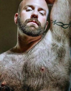 chinchoso:  bearpitpig:  #HairyPits #Armpits #Bear #Pits #MuscleBear #Hairy #Pig #Furry #FurryPits #Pit #ManlyPits #Ripe #Mansmells  Uuuummmm, muy bueno😋