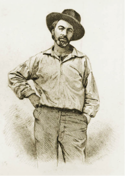 Samuel Hollyer (Steel Plate Engraving from a Lost Daguerreotype by Gabriel Harrison)     Walt Whitman, New York City     1854
