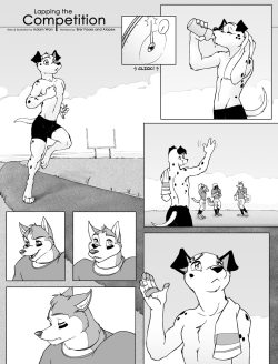 awesomegayfurry:  strixagorm: Lapping the Competition - Zaush  i love this comic
