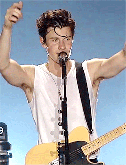  Shawn Mendes  