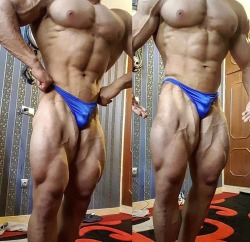 musclegodselfies:  Javad Mohavedi 