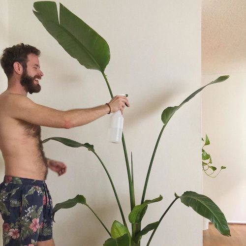 belly-rubs:stop taking pics of your p(l)ants and put out new music 🙃 #boyswithplants  (at Van Nuys, California)https://www.instagram.com/p/B8xIgachaqv/?igshid=jsukwv5no6l1