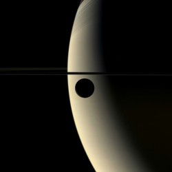 Crescent Rhea Occults Crescent Saturn #nasa #apod #saturn #rhea #cassini #ssi #jpl #esa #astronomy #space #science #solarsystem #planet #moon
