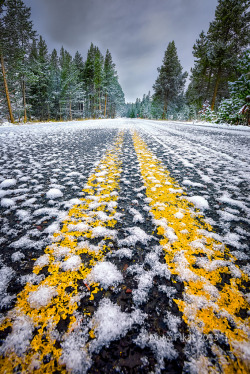 jamas-rendirse:  Snow-Covered Road in Yellowstone National Park by dfikar.    pretty