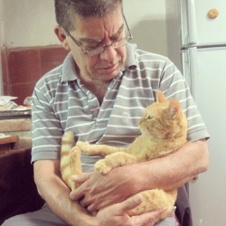 Después de estar un mes en Medellín, mi gata estaba metiendo gatos a mi cuarto&hellip; mi papá la esta regañando