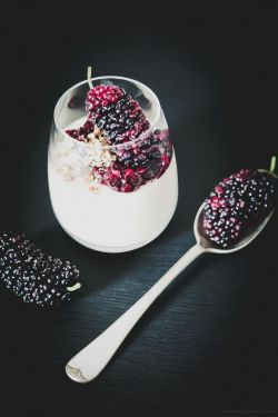 confectionerybliss:  Panna Cotta with Mulberry Compote • Sweet Gastronomy