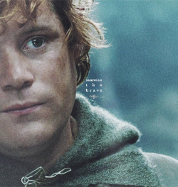 kittykili:  ... frodo wouldn't have gotten far without sam   