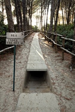 youcouldbefound: thewayhereyeslightuptheroom:  teenawh:  jem-sie:  letsfack:  legitimism:  Where is this?  How tf do you walk down that?  how the fuck  That’s terrifying  Looks like an adventure  Let’s do it. 