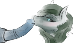 my horrifying fish horse monster had her moments where she didn&rsquo;t look like a horrifying fish horse monster but really bluepenis are you gonna put your dick in a mouth filled with really pointy toothers?? (this is really old btw)