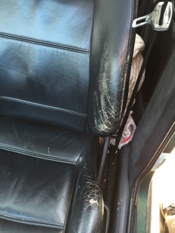Mk3 Jetta leather seats and door cards forsale &hellip; Best offer located in Baltimore &hellip; Look me up on fb Vince Patucci