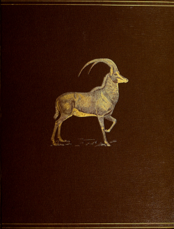 nemfrog:  The book of antelopes. v.2. 1894. Cover. 