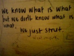 girlsroomgraff:  I don’t really follow this one until the “we just strut&quot; part, because hell yeah strut on.  Submitted by Kate E. Found in a bathroom in Dalston, London.