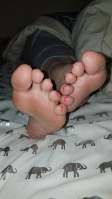 myprettywifesfeet:  Her pretty soles and toes just laying in bed.please comment 