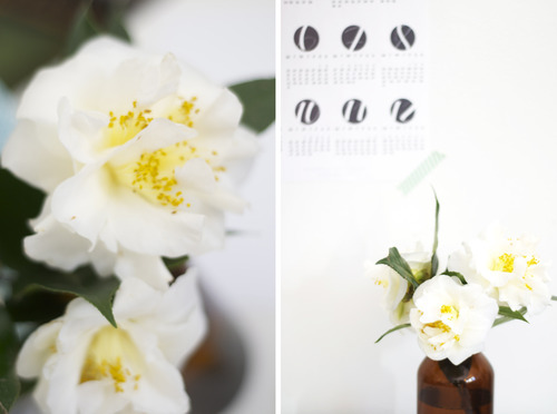 Camellias & 2014 Calendar Printable 2