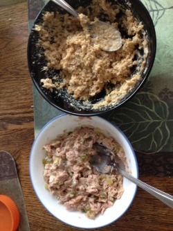 Tuna and oatmeal lol looks like cat food. Eat for fuel not flavor.