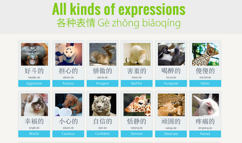 Learn to express your feelings in Chinese with cute animals
