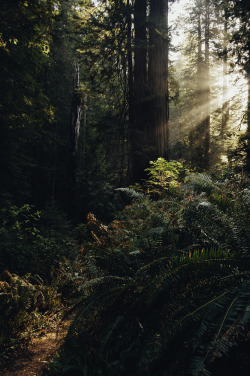 findingmykitchensink:  90377:  by James Unkov Photography  This picture is so calming to me