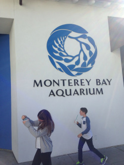Monterey Bay Aquariuuuum!! It was so cool!!
