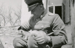 digg:  Nazis with cats is a real blog.