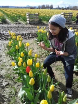 azispaz: al-the-stuff-i-like:  slightly-fanatic:  guardgenie:  charlesoberonn:  01101111-01101111-01100100:  sanjista:  bbanditt:  chongthenomad:  so my family went to the tulip fields and my little sister didn’t have a good time at all  WHY IS THAT