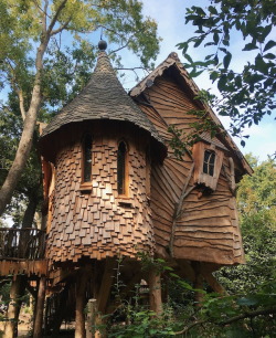 magicalhomesandstuff:  Love these fairy tale treehouses.This one is called the “Higgeldy” by it’s owner. It was inspired by a bird’s nest. Look at the unusual lighting fixture.Lovely corner kitchen with black counter &amp; backsplash. Love the
