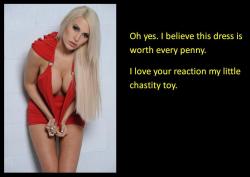 Oh yes, I believe this dress is worth every penny. I love your reaction my little chastity toy.