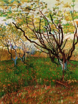 fleurdulys:  Orchard in Bloom - Vincent van Gogh 1888 