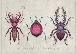 fairytalesandvampires:  Specimens from the Entomology Vol. II seriesPrints available at my recently opened Society6 shop :)Thanks for viewing!