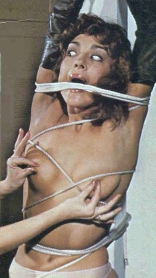 whenpussieswerefurry:  Retro Kink at Midnight   Michelle Bauer in bondage