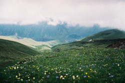 contempts:  Paradise by anna gulisashvili on Flickr. 