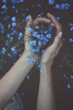 thoughtinsilence:  ☽ spiritual nature and indie ☾
