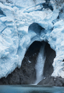 sarahallynphoto:  a receding tidewater glacier hemorrhages freshwater in Kenai Fjords National Park 