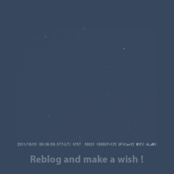 blood-of-angel:  differentpain:  reblog and make a wish !     
